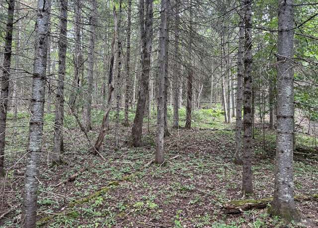 Property at 0 State Route 3, Saranac, NY 12981