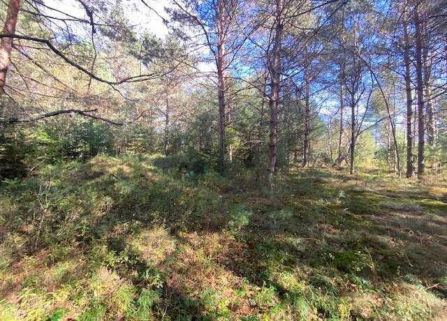 Property at 11544 State Route 28, Forestport, NY 13338