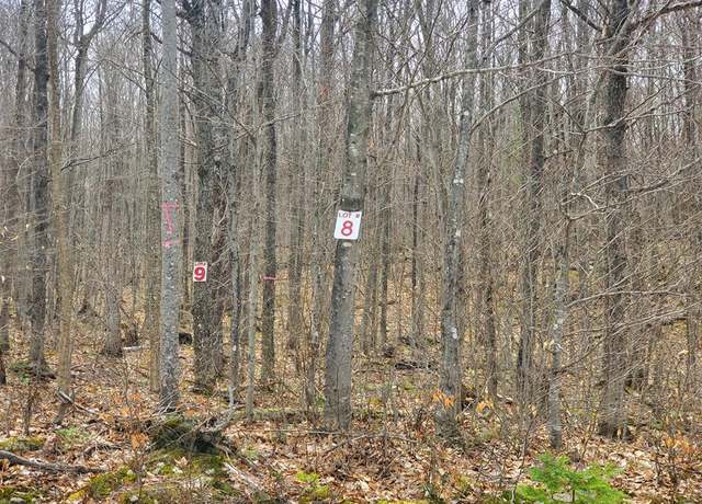 Property at Lot 8 Daigneau Trl, Merrillsville, NY 12989