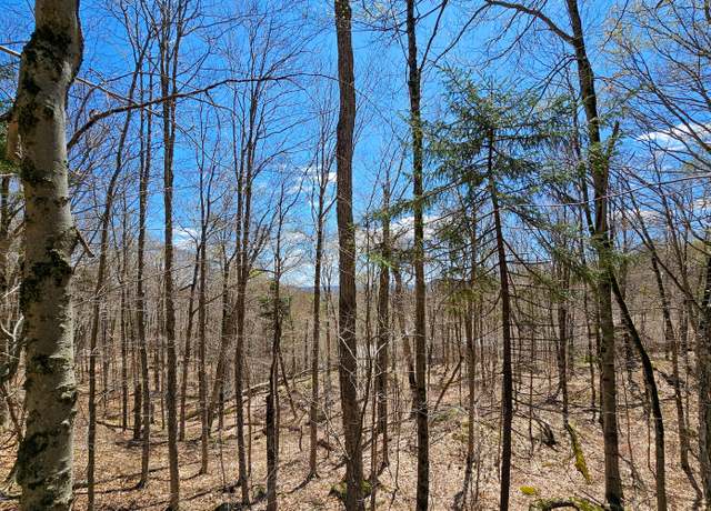Property at 00000 Palisades Rd W, Old Forge, NY 13420