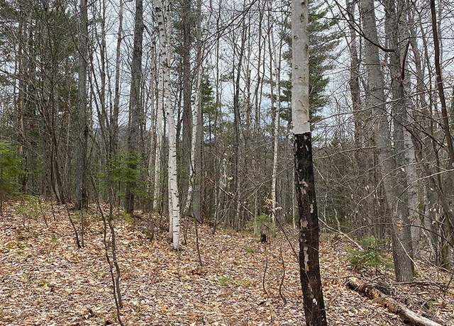 Property at Lot 2 Route 26, Loon Lake, NY 12989
