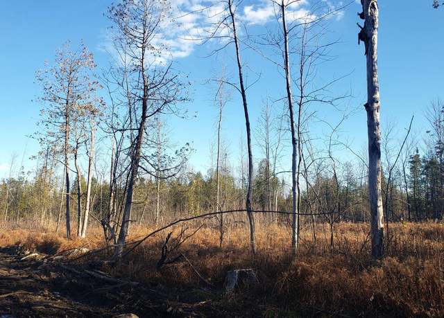 Property at 0 Constable Burke Town Line Rd, Burke, NY 12917