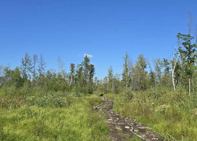 Property at 0 Constable Burke Town Line Rd, Burke, NY 12917