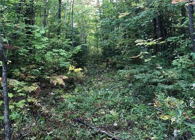 Property at 0 Plank Rd, Ellenburg, NY 12933