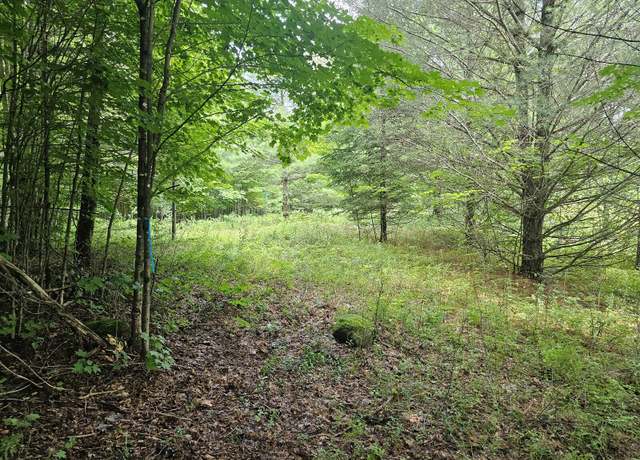 Property at 9907 SH 3, Piercefield, NY 12973