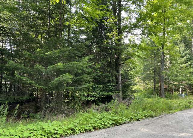 Property at 0 Grouse Creek Lot #2, Lake Placid, NY 12946