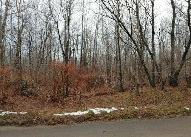 Property at 0 W St Ann St W, St. Regis Falls, NY 12980