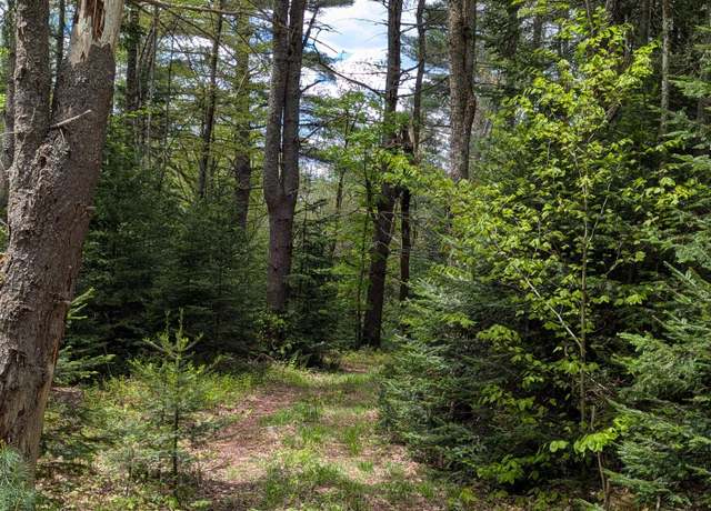 Property at Lot #5 County Route 60, Rainbow Lake, NY 12976
