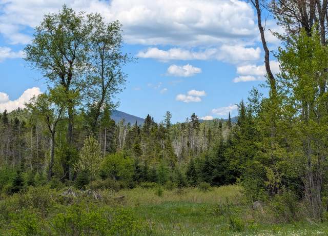 Property at Lot #6 County Route 60, Rainbow Lake, NY 12976