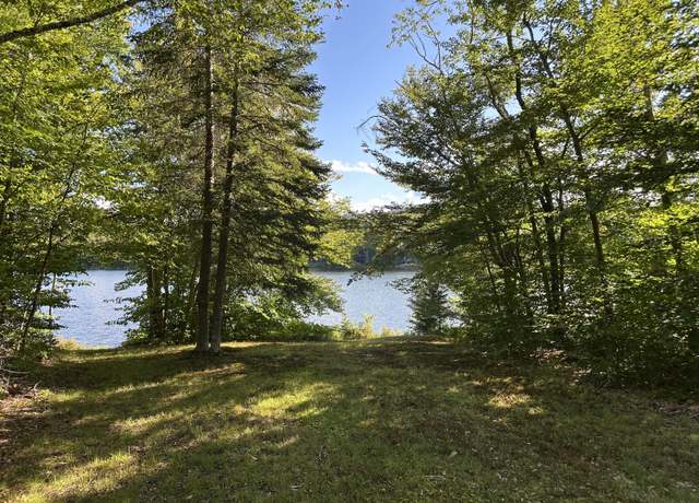 Property at 1028 Goodnow Flow Rd, Newcomb, NY 12852