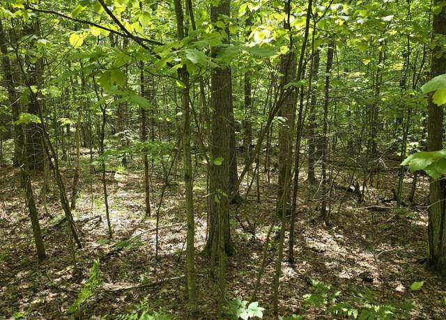 Property at 0 Butternut Ln, Jay, NY 12941