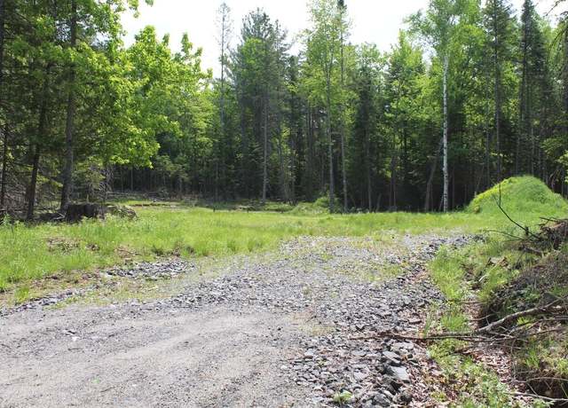 Property at 132 Fred Gay Road Rd, Indian Lake, NY 12842
