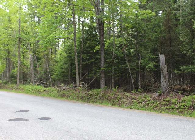 Property at 124 Fred Gay Rd, Indian Lake, NY 12842