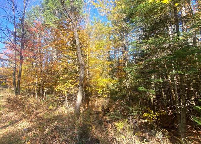 Property at L36 County Route 29, Minerva, NY 12851