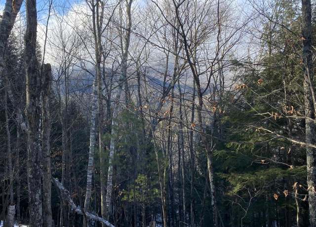 Property at XXX Scriver Ln, Elizabethtown, NY 12932