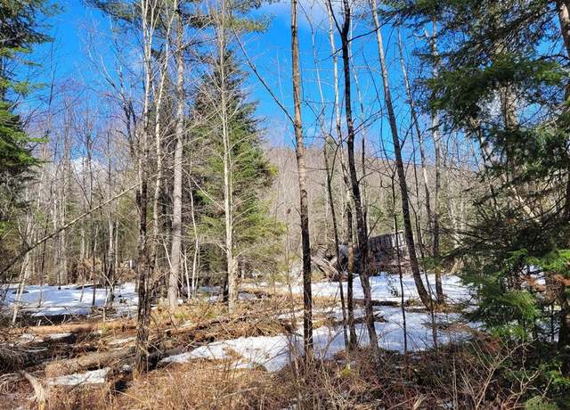 Property at 783 & 747 Alder Brook Rd, Vermontville, NY 12989