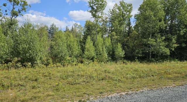 Photo of Lot 16 Daigneau Trl, Franklin, NY 12989
