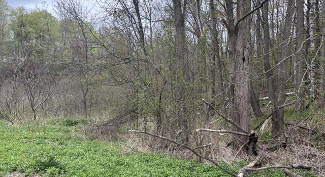 Photo of 0 Ram Rd, Schuyler Falls, NY 12962