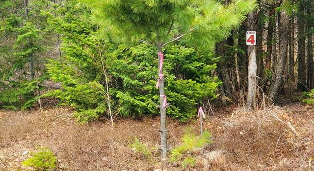 Photo of Lot 4 Daigneau Trl, Merrillsville, NY 12989