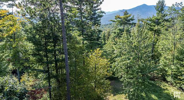 Photo of Lot 1 Styles Brook Rd, Keene, NY 12942