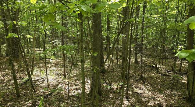 Photo of 0 Butternut Ln, Jay, NY 12941