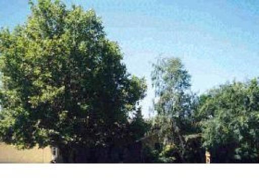 5881 Sugarplum Ct
