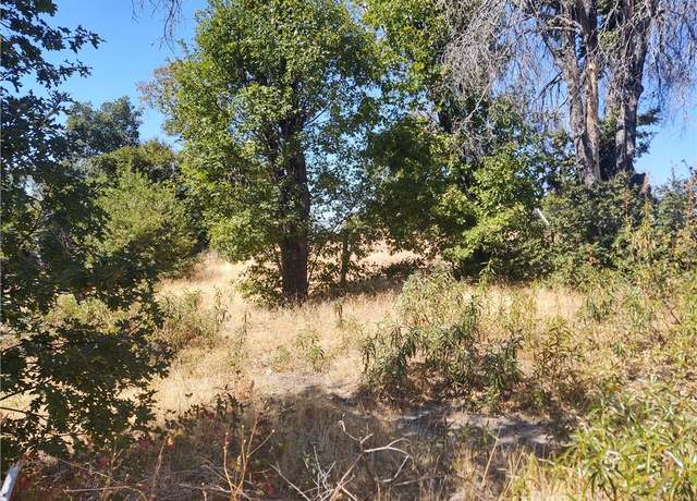 Property at 363 Raccoon Rd, Berry Creek, CA 95916