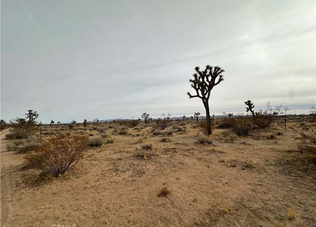 Property at 0 Canterbury, Yucca Valley, CA 92284