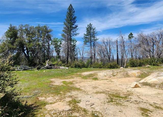 Property at 51 Horseshoe Trl, Berry Creek, CA 95916
