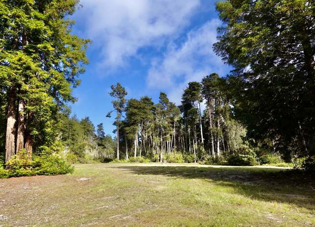 Property at 43535 Comptche Ukiah Rd, Mendocino, CA 95460