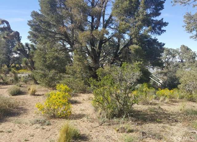 Property at 0 Scenic Creek Dr, Wrightwood, CA 92372