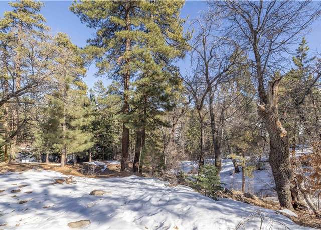 Property at 0 Pigeon Rd, Big Bear Lake, CA 92315