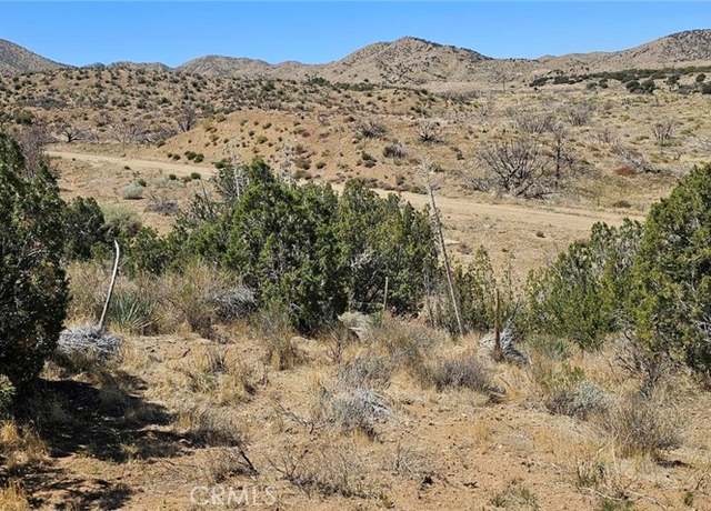 Property at 0 98th St E, Juniper Hills, CA 93543