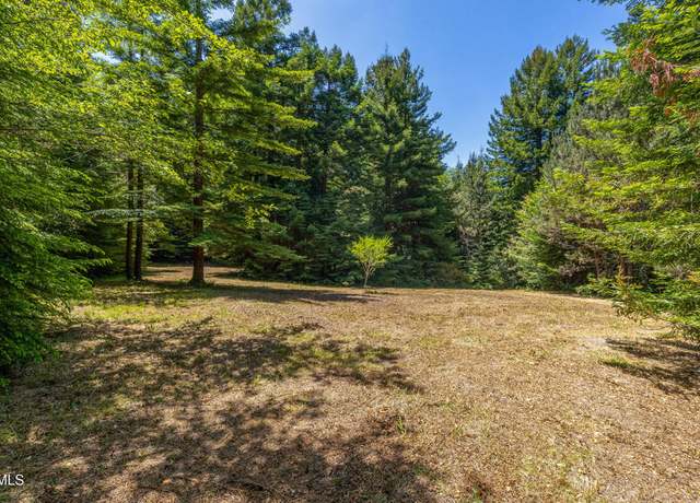 Property at 15620 Shane Dr, Fort Bragg, CA 95437