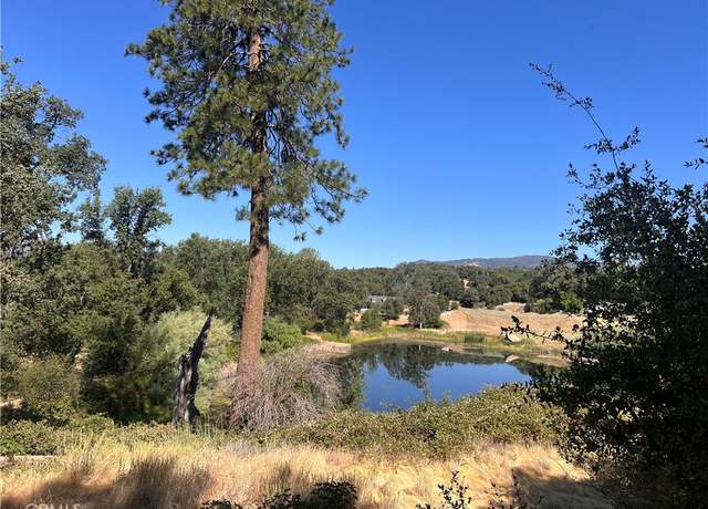 Property at 16 Lulniu, Ahwahnee, CA 93601