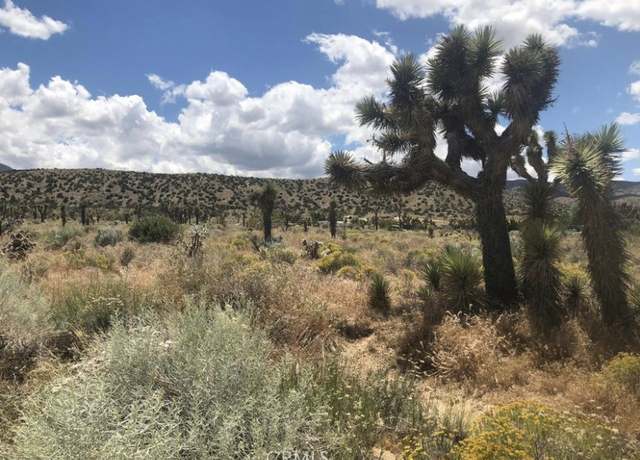 Property at 0 Vac/Pearblossom Pav /Vic 160 S, Pearblossom, CA 93591