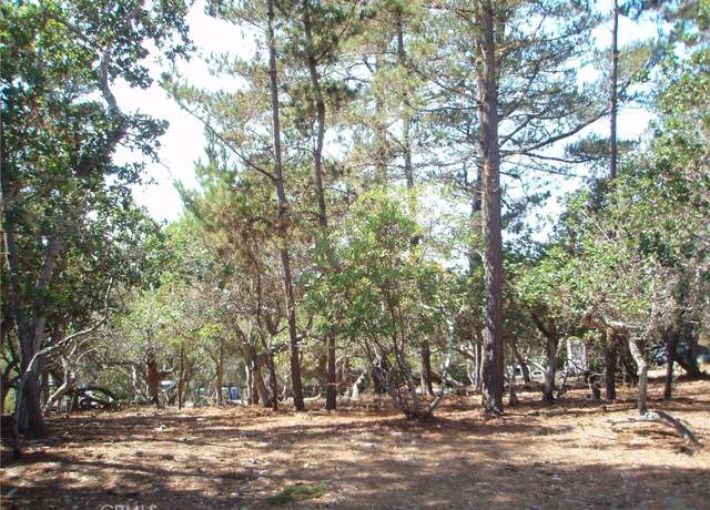 Property at 1865 Dreydon Ave, Cambria, CA 93428