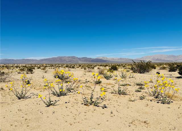 Property at 0 Near Shelton Rd, 29 Palms, CA 92277