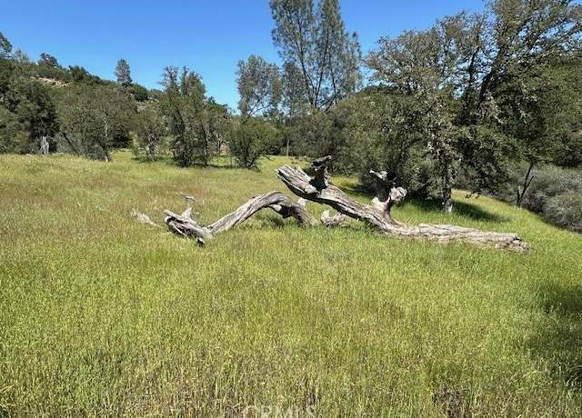Property at 74620 Copperhead Rd, Bradley, CA 93426