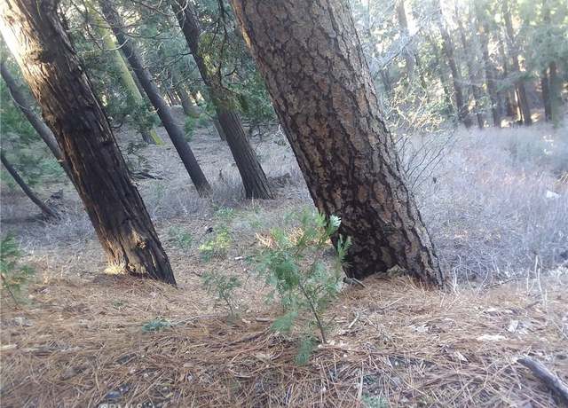 Property at 0 El valle Rd, Cedarpines Park, CA 92322