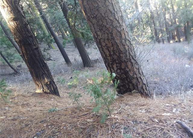 Property at 0 El valle Rd, Cedarpines Park, CA 92322