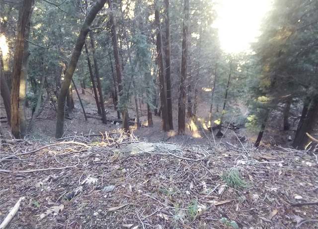 Property at 0 El valle, Cedarpines Park, CA 92322