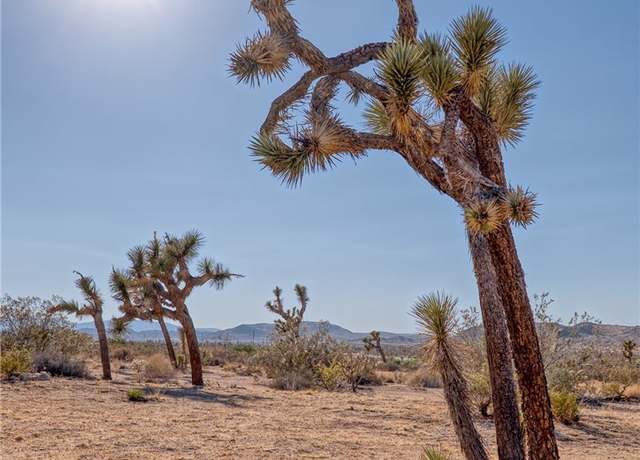 Property at 107 Juniper Rd, Joshua Tree, CA 92252
