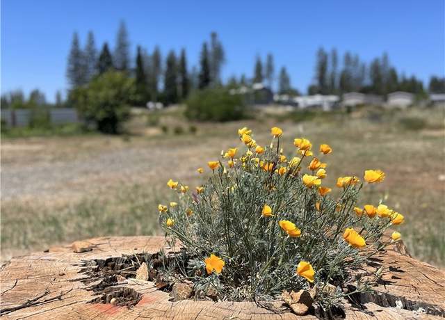 Property at 1749 Whitaker Rd, Paradise, CA 95969