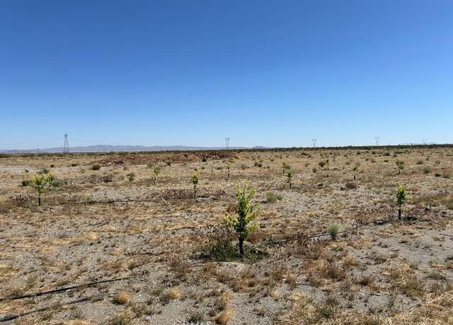 Property at 14545 Oasis Rd, Phelan, CA 92371
