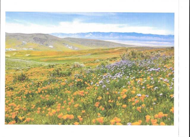 Property at 0 Cooperstown Rd, California Valley, CA 93453
