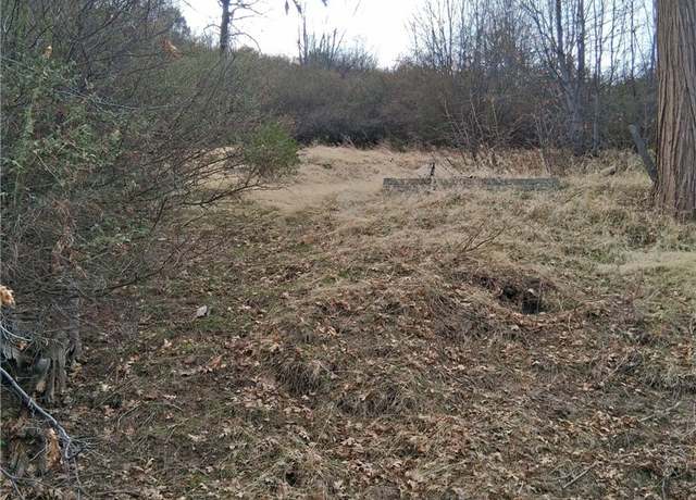Property at 0 Pine Dr, Cedar Glen, CA 92321