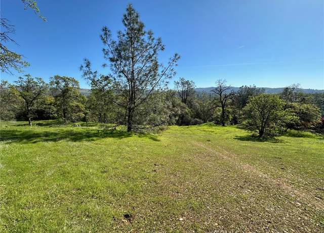 Property at 169 Shady Oak Dr, Oroville, CA 95966