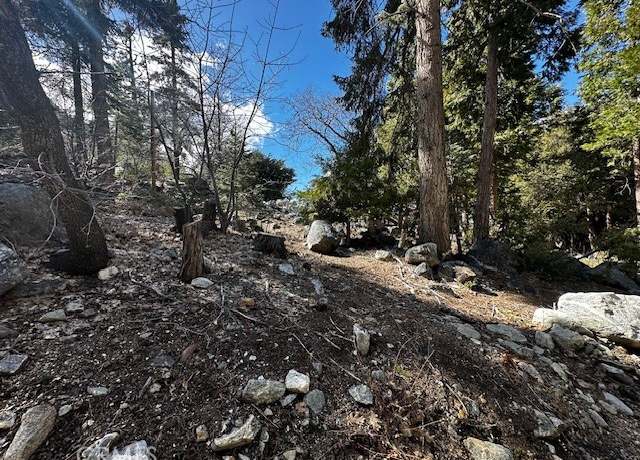Property at 0 Fir, Forest Falls, CA 92339