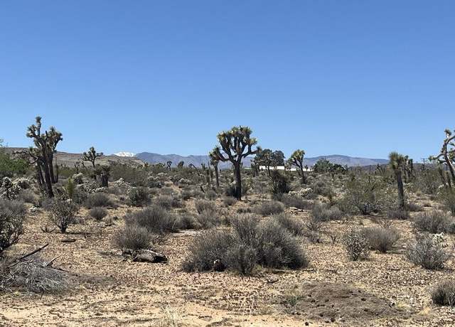 Property at 171 Yucca Mesa Rd, Landers, CA 92285